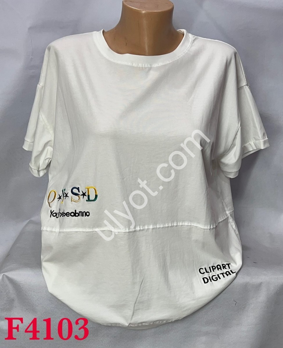 ФУТБОЛКА (ONE SIZE 50-54) МІКС 4103