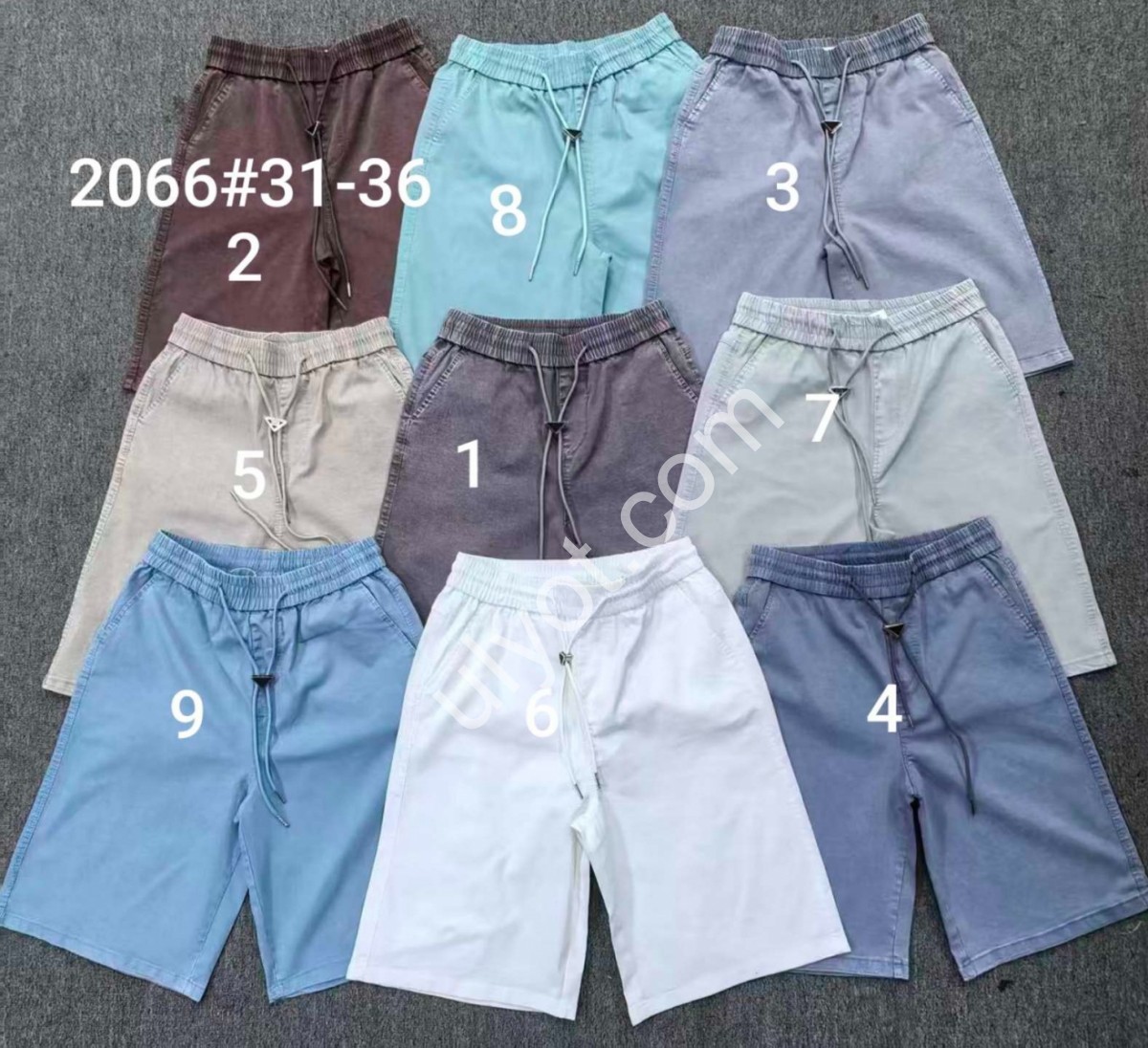 ШОРТИ (31-36) БІЛИЙ-6 2066