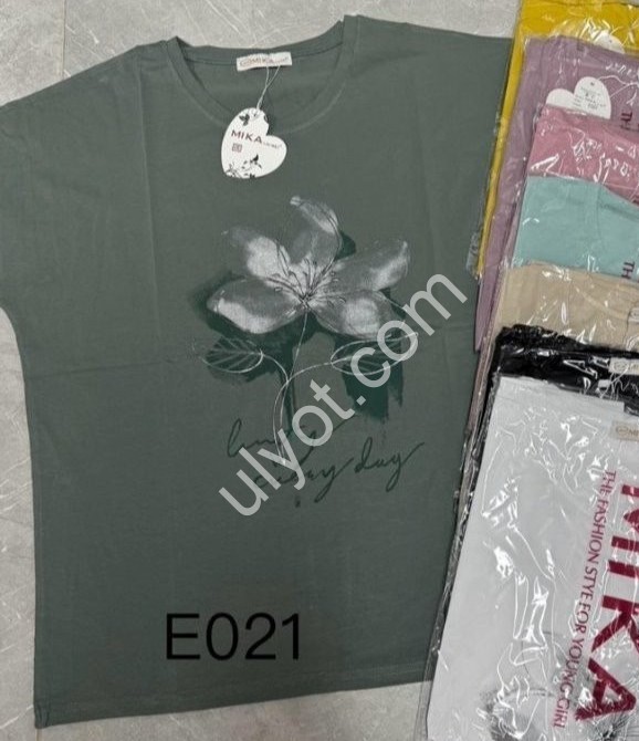 ФУТБОЛКА (ONE SIZE 50-54) МІКС 5570