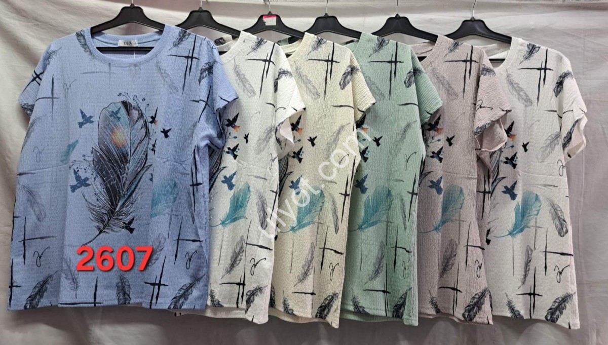 ФУТБОЛКА (ONESIZE 50-54) МИКС 2607