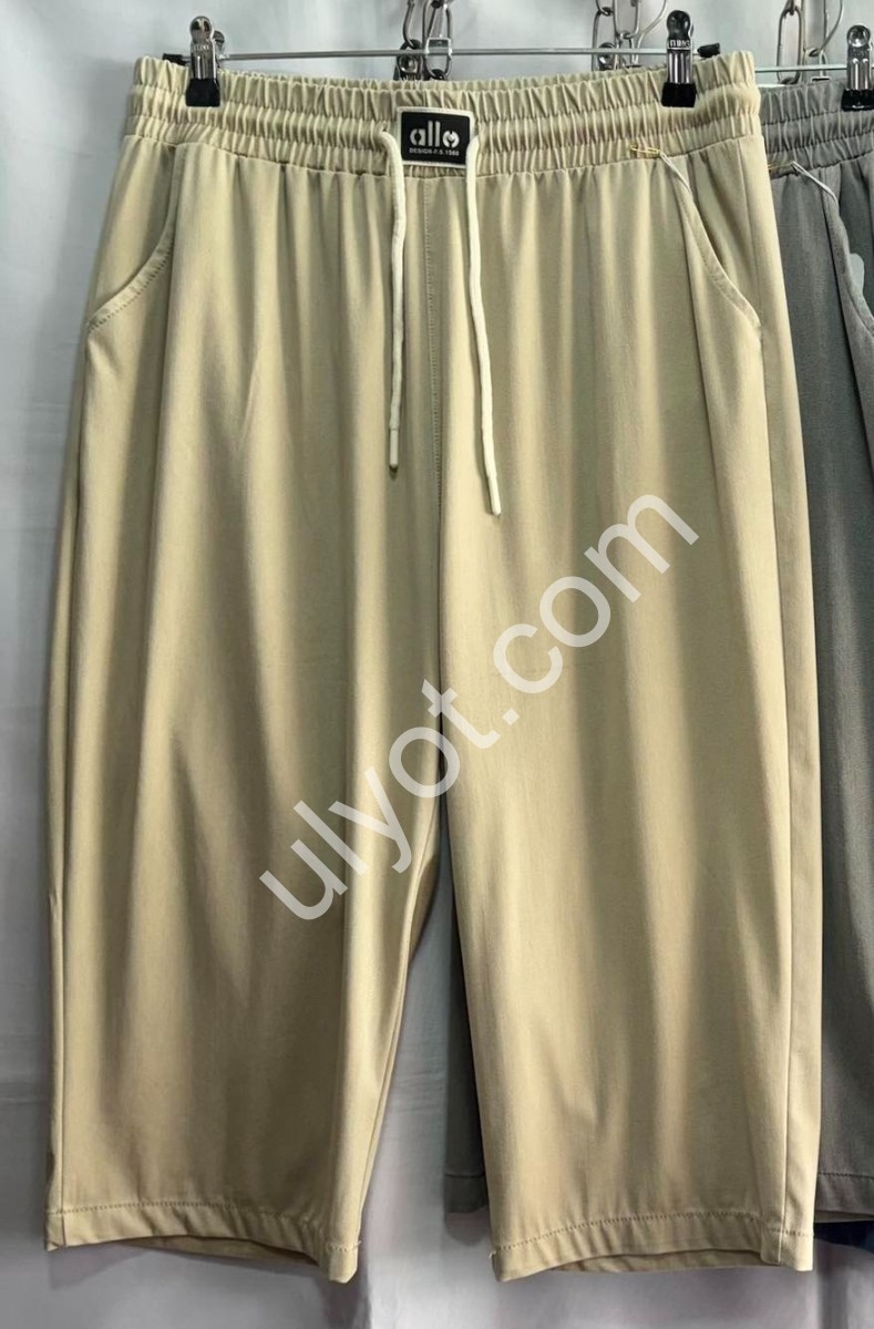 БРИДЖИ (2XL-8XL) МИКС 529