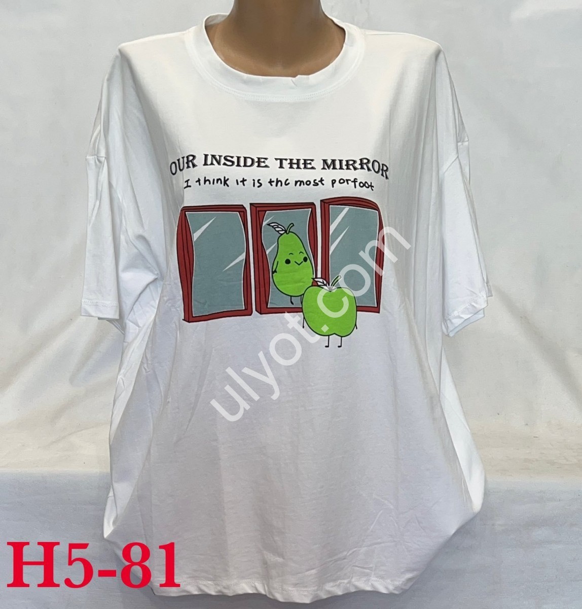 ФУТБОЛКА (ONE SIZE 54-58) МИКС H5-81