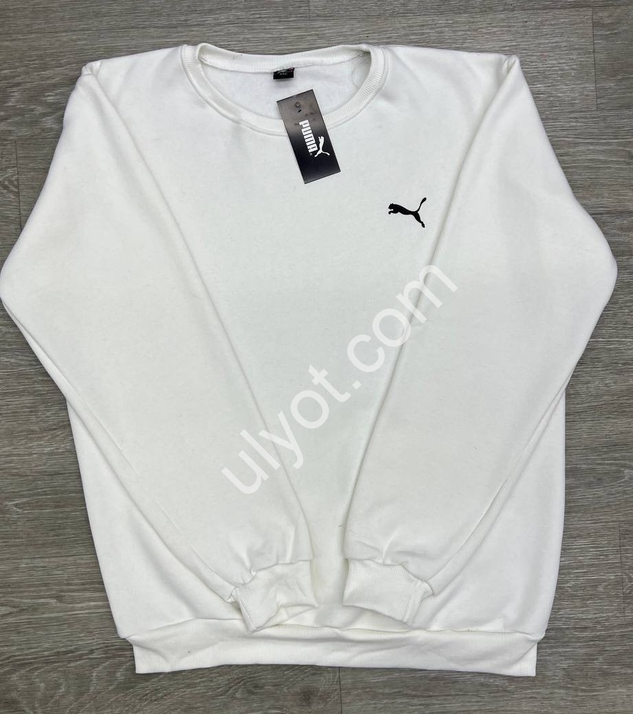 СВИТШОТ P15 (56-64) ФЛИС БЕЛЫЙ 500