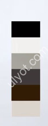 Фото 2 БОДИ (S-XL) СІРИЙ NA37