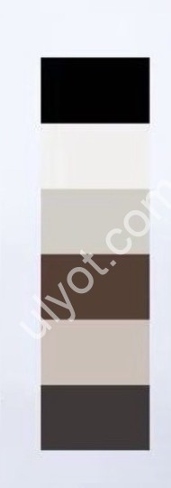 Фото 2 БОДИ (S-XL) РЯДОК БІЖ NA37