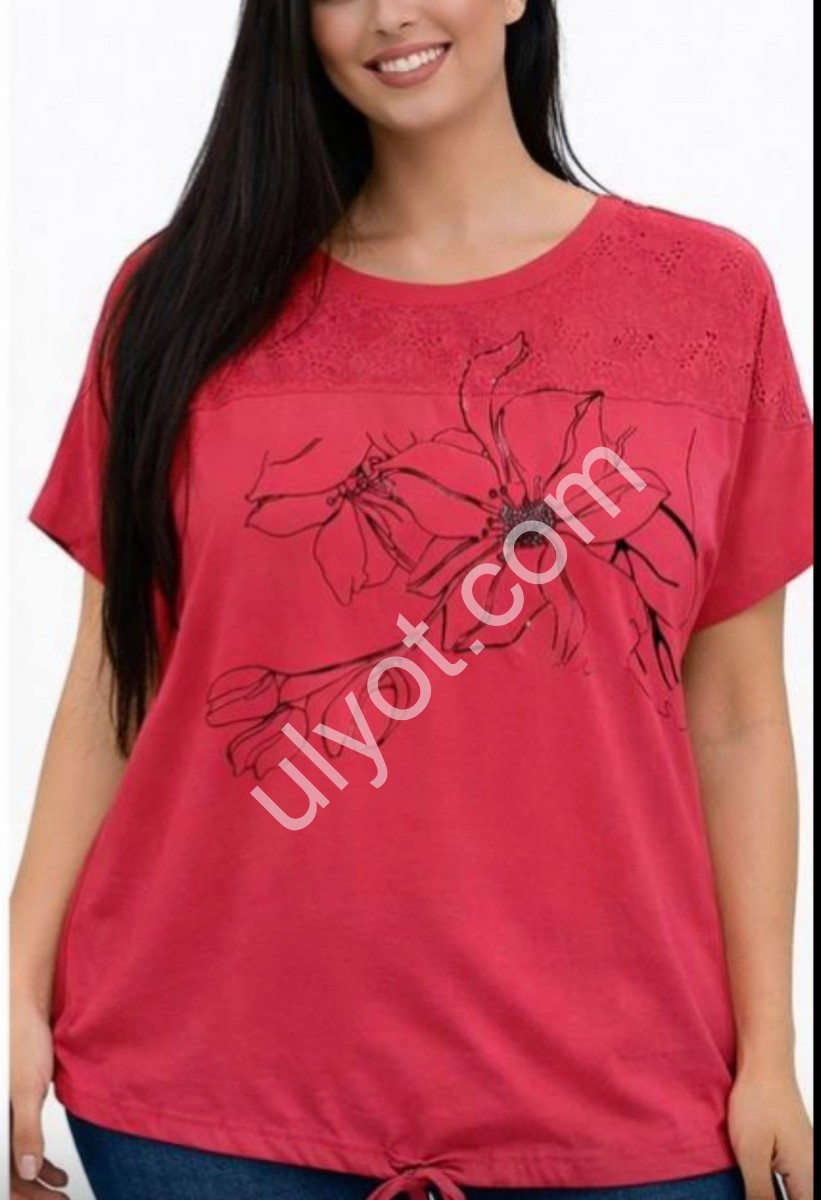 ФУТБОЛКА (2XL-4XL) МІКС 26013