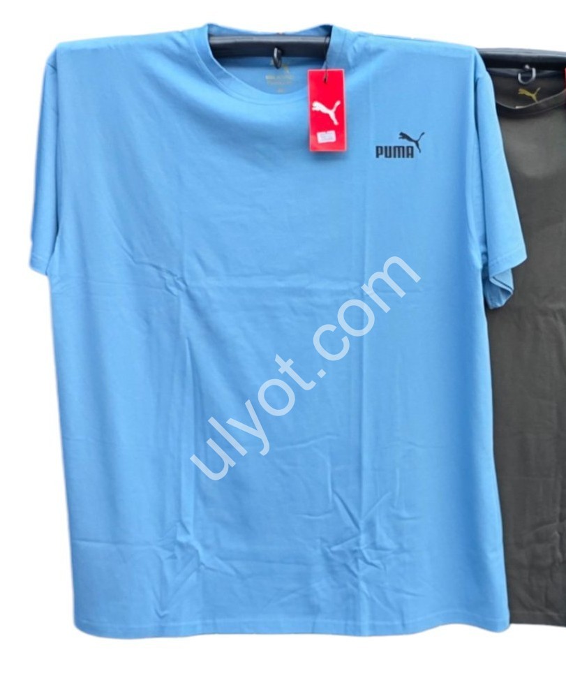 ФУТБОЛКА P15 (56-64) КОРИЧНЕВИЙ