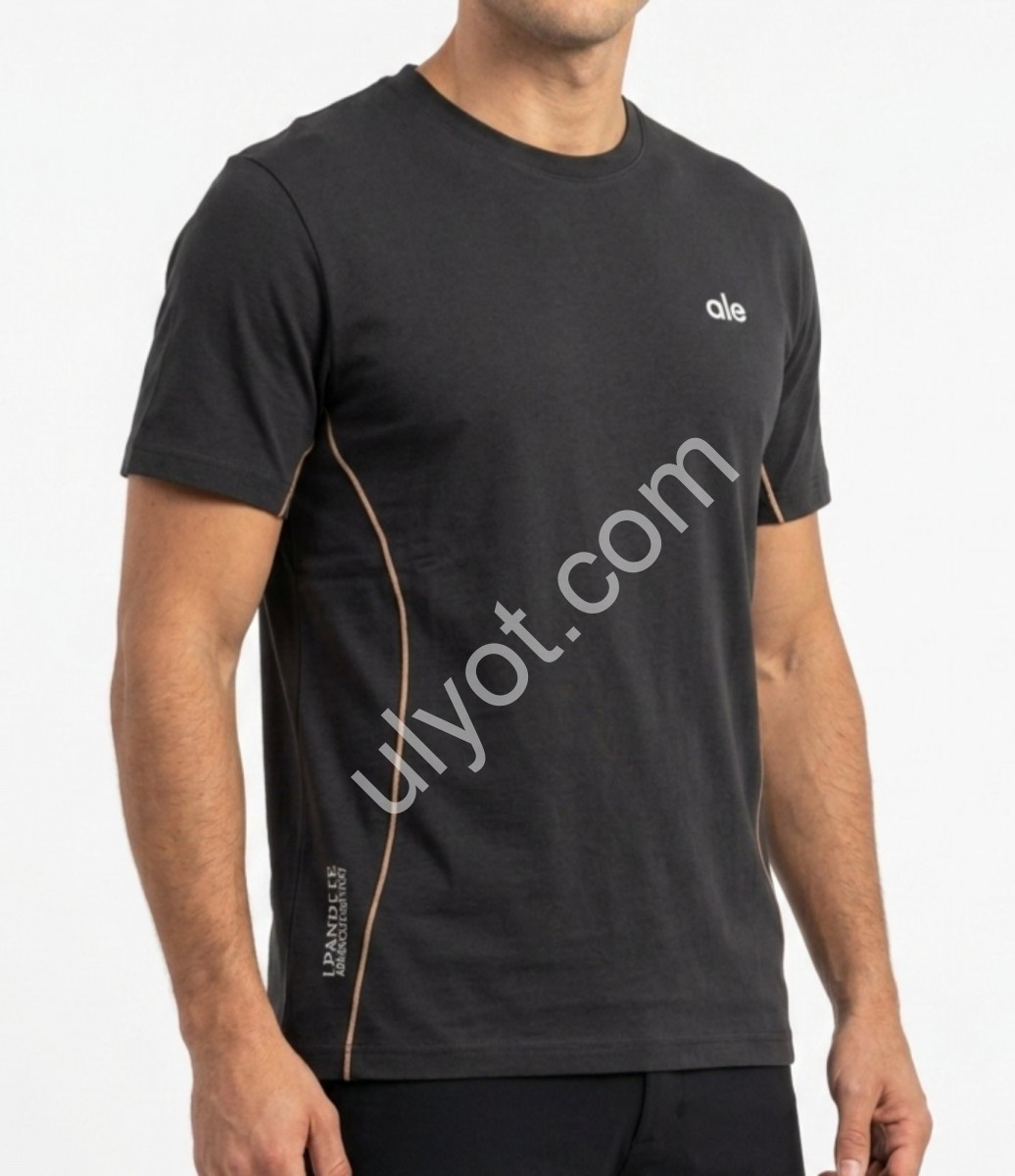 ФУТБОЛКА ALE (L-4XL) ЧЕРНЫЙ+БЕЖ 