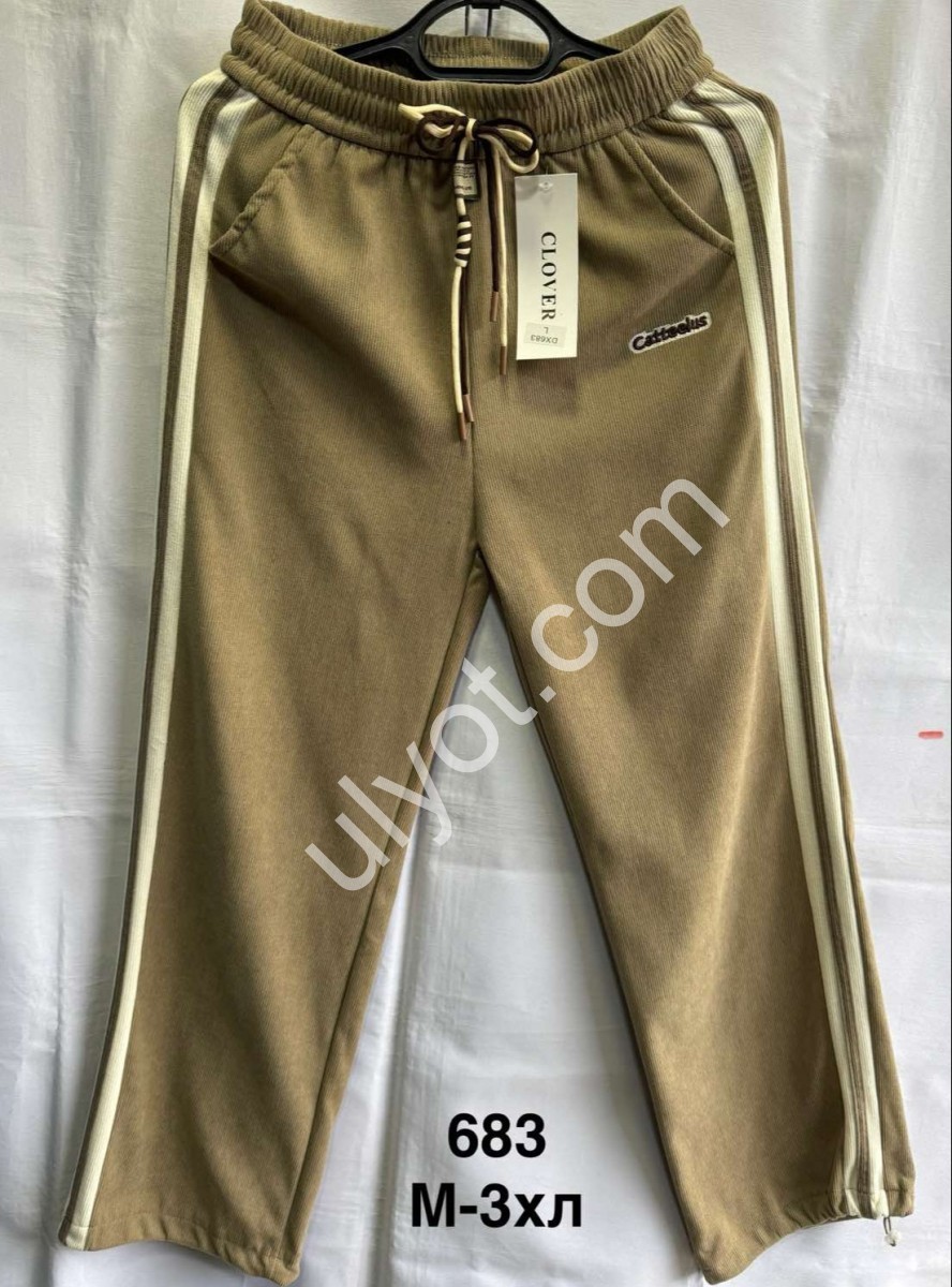 ШТАНИ (M-3XL) БІЖ 683