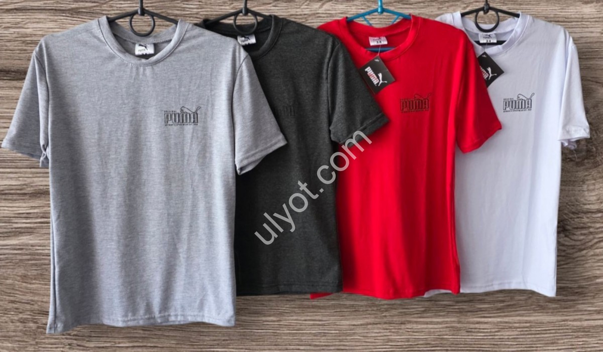 Фото 2 ФУТБОЛКА P15 (3-7 ЛЕТ) СВ.СЕРЫЙ 