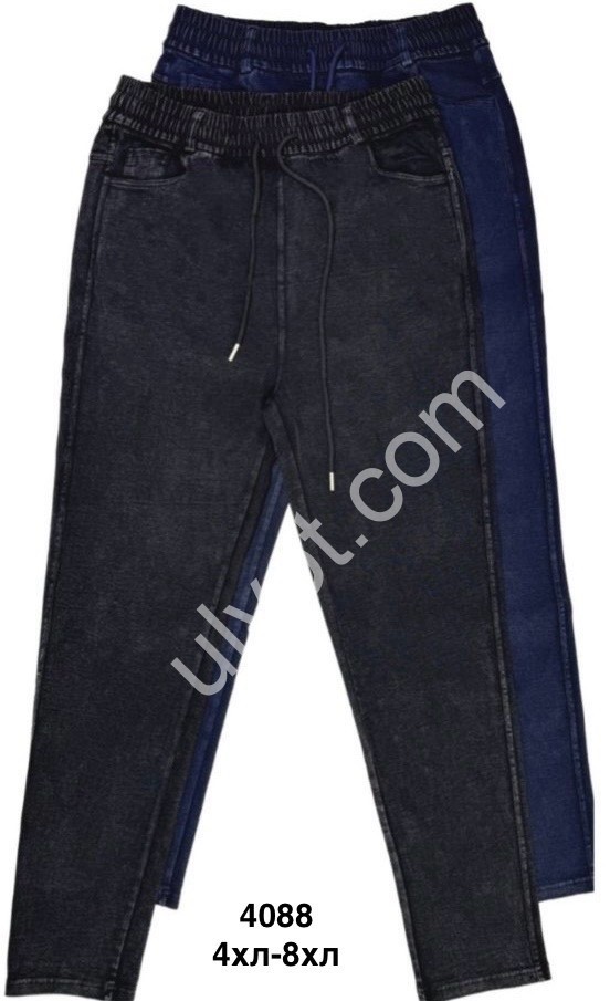 ШТАНИ (4XL-8XL) МІКС 4088-1