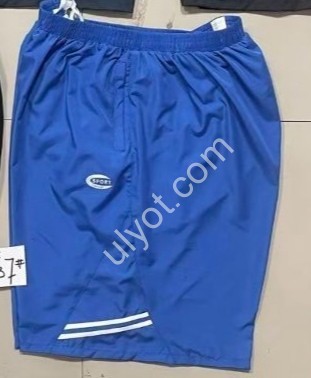 ШОРТЫ (6XL-10XL) ГОЛУБОЙ 2037