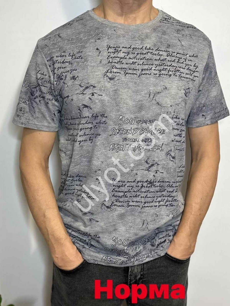 ФУТБОЛКА (M-2XL) СЕРЫЙ 5101