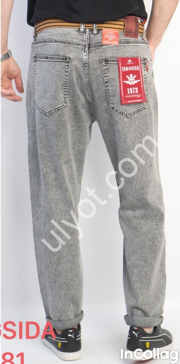 ДЖИНСИ FANGSIDA (29-38) СІРИЙ 8881