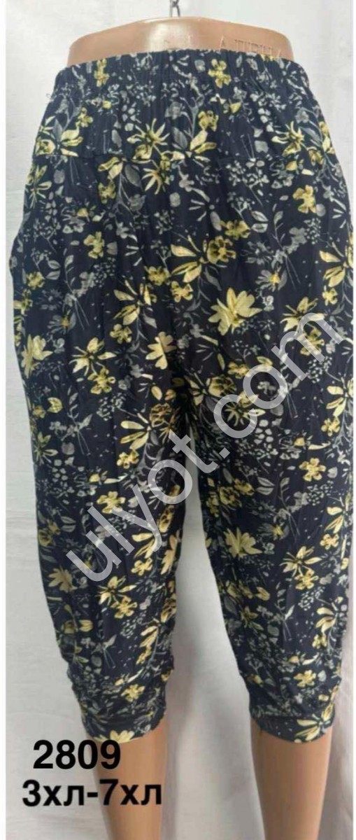 БРИДЖИ (ONESIZE 3XL-7XL) МИКС 2809