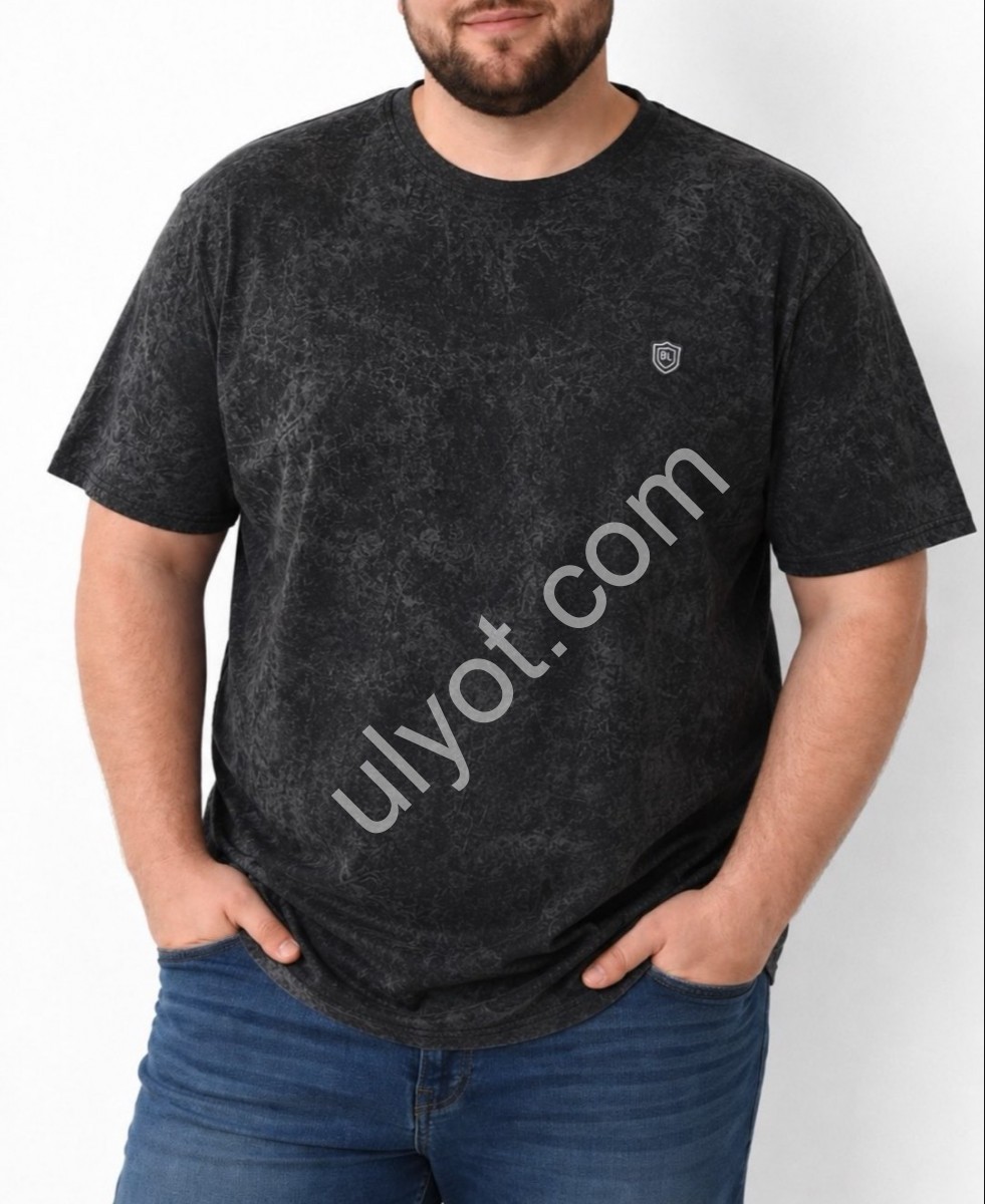 ФУТБОЛКА BIGLIVER (3XL-6XL) ГРАФІТ 5652