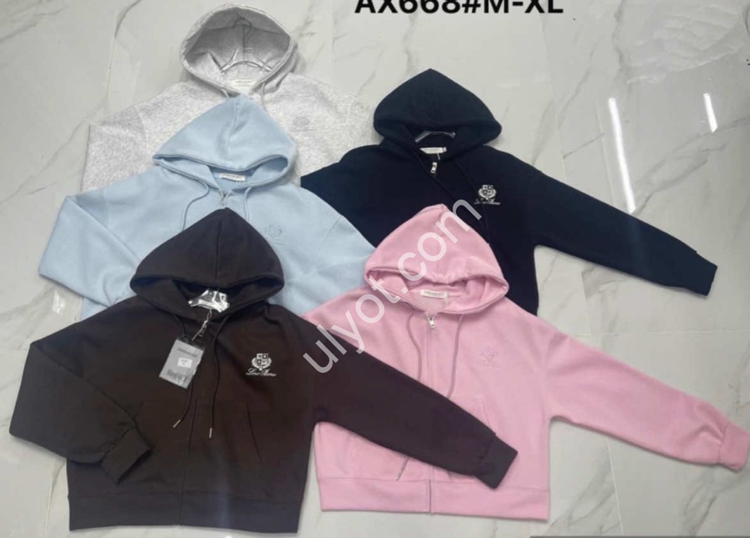 ХУДІ (ONE SIZE 46-50) МІКС AX668