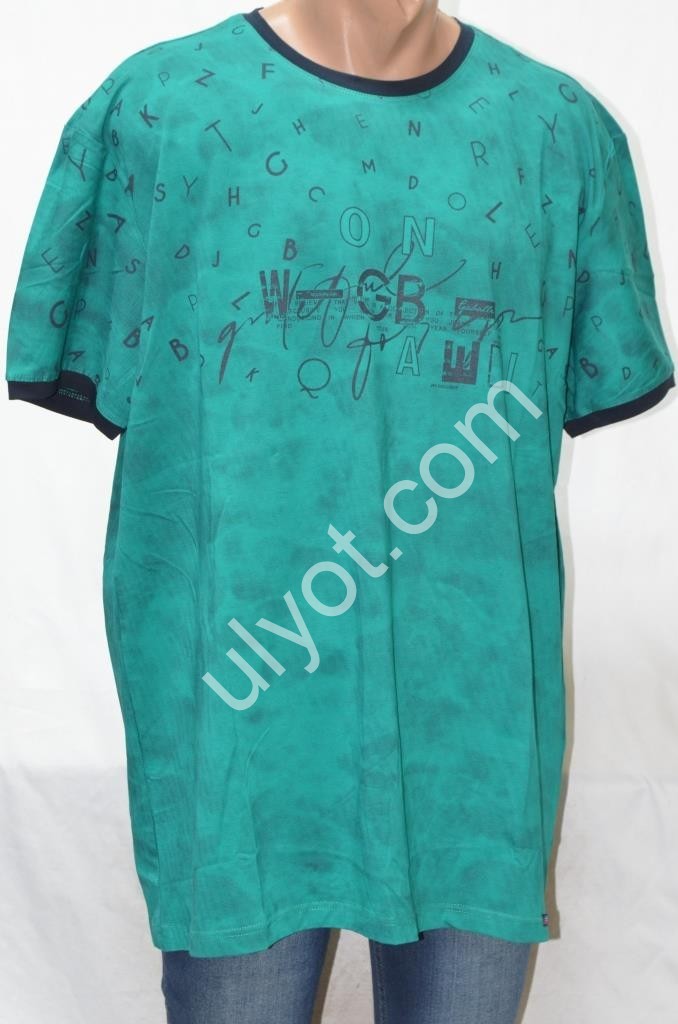 ФУТБОЛКА-90 (2XL-5X) Зелений 5990
