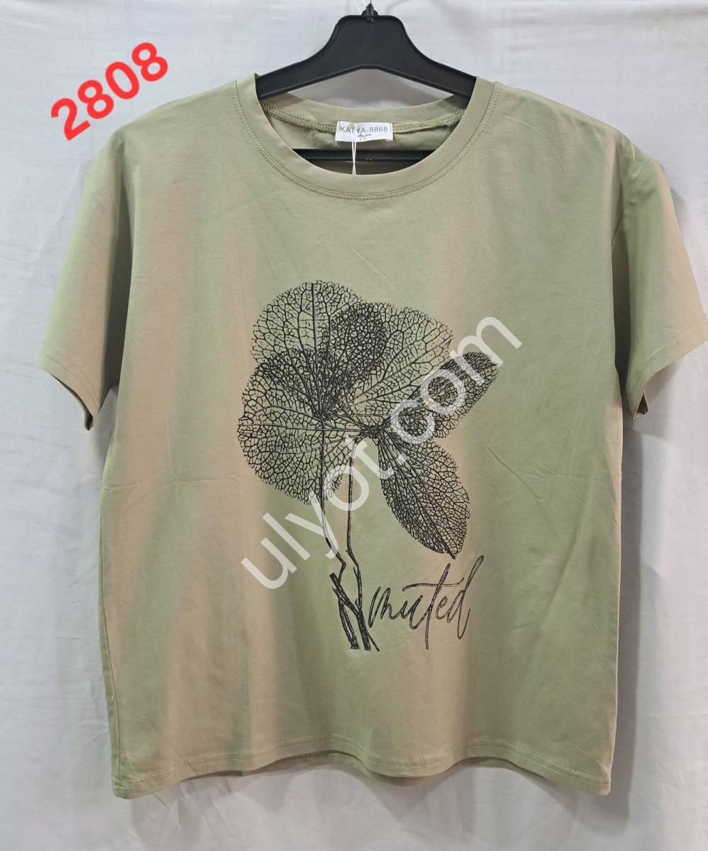 ФУТБОЛКА (ONE SIZE 46-50) МИКС 2808
