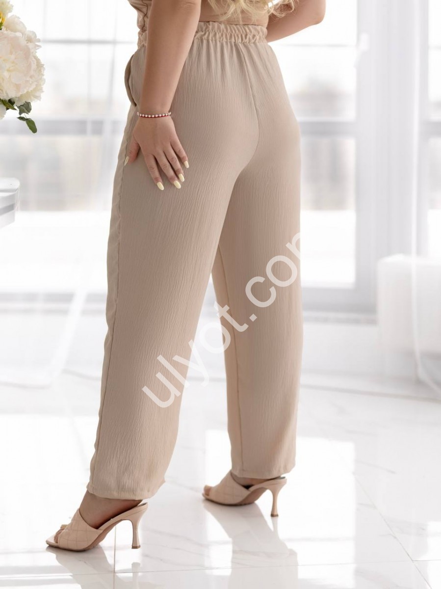 ШТАНИ (50-60) БІЖОВИЙ 1323