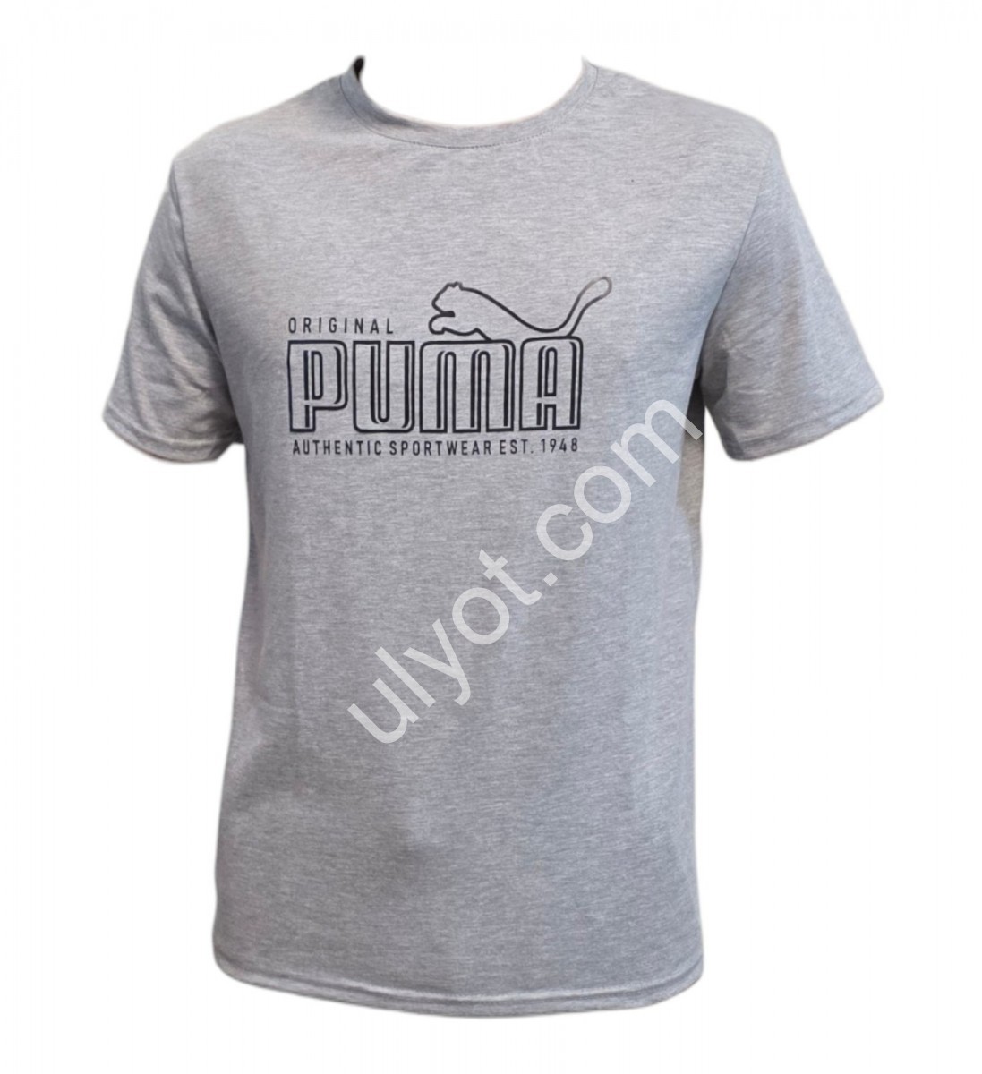 ФУТБОЛКА P15 (46-54) СІРИЙ МЕЛАНЖ