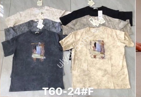 ФУТБОЛКА (ONE SIZE 54-56) МИКС T60-24