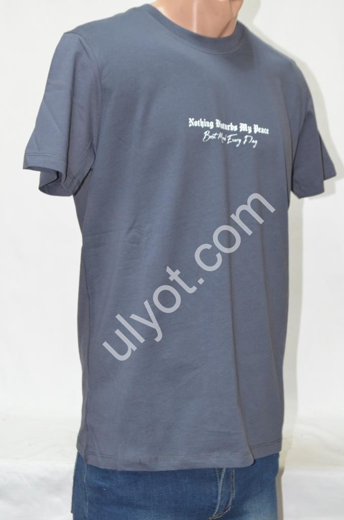 ФУТБОЛКА (S-2XL) СІРИЙ 5167