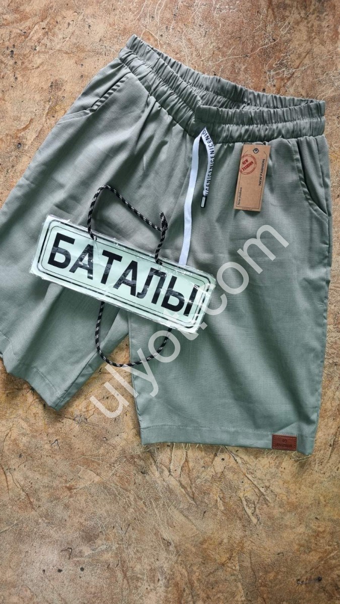 ШОРТИ (46-52) БІРЮЗА 503