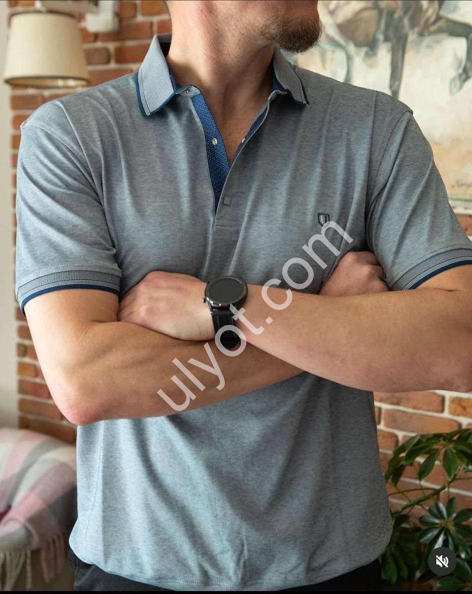 ФУТБОЛКА (2M-5XL) СВ.СЕРЫЙ 8003