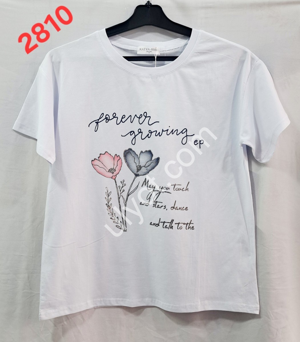 ФУТБОЛКА (ONE SIZE 46-50) МІКС 2810