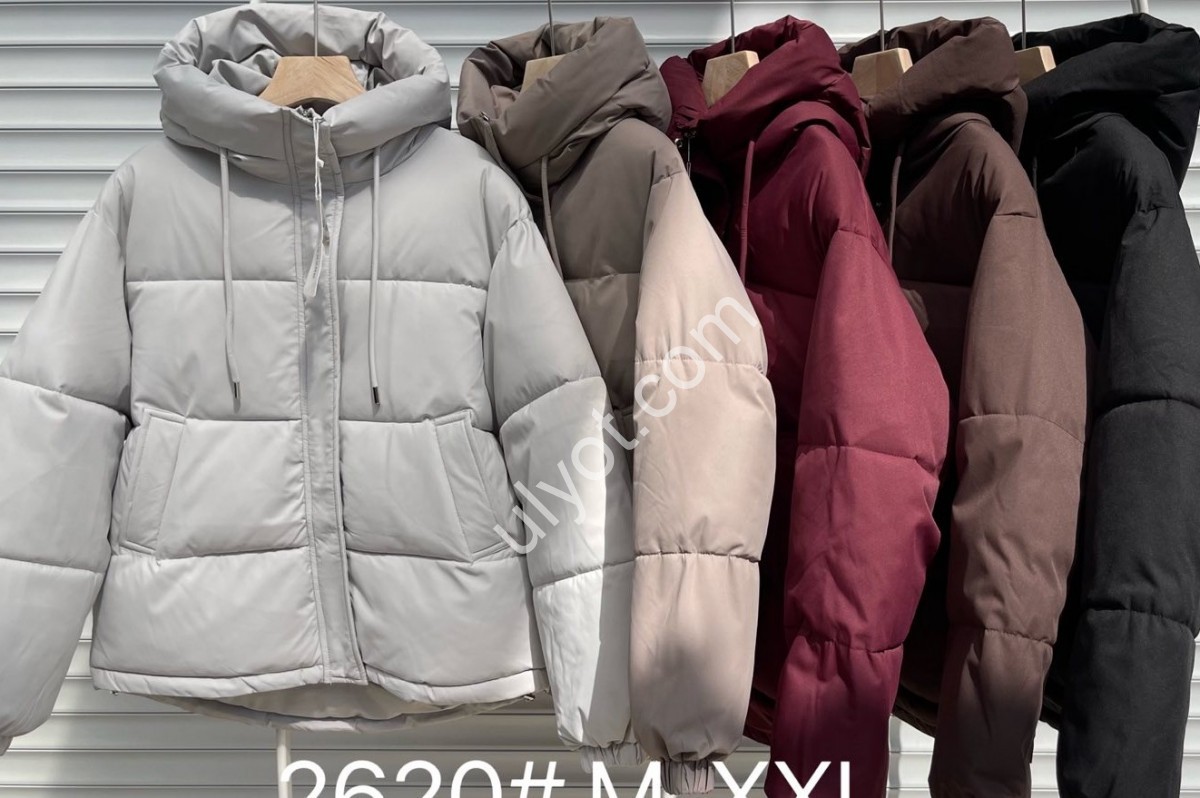 КУРТКА (M-2XL) МОЛОКО 2620