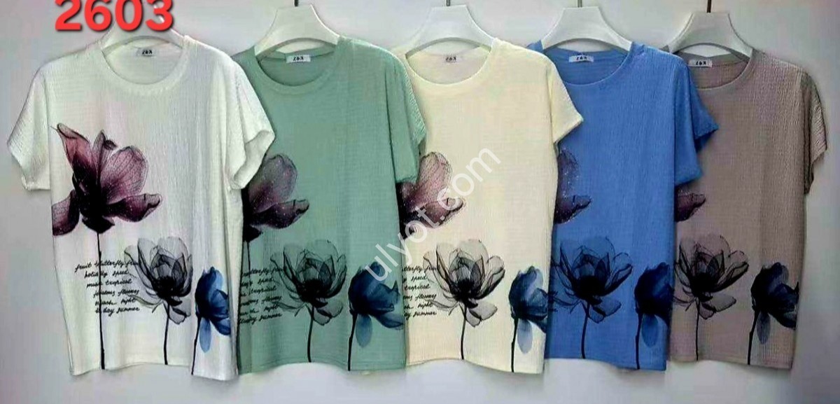 ФУТБОЛКА (ONESIZE 50-56) МИКС 2603