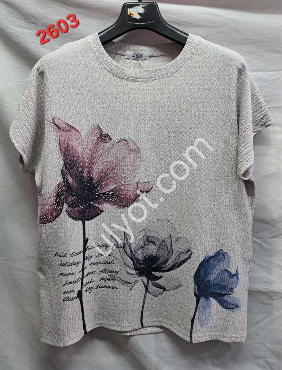 ФУТБОЛКА (ONESIZE 50-54) МИКС 2603