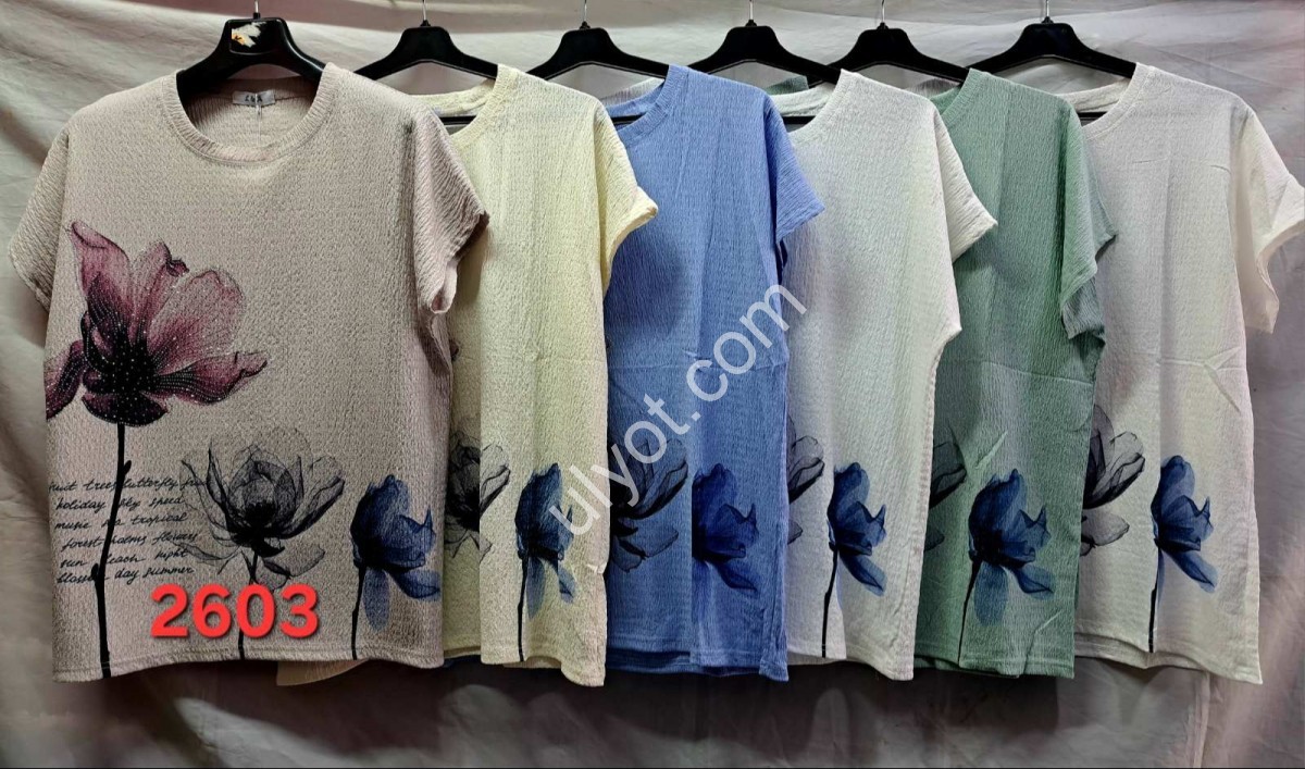 ФУТБОЛКА (ONESIZE 50-54) МИКС 2603