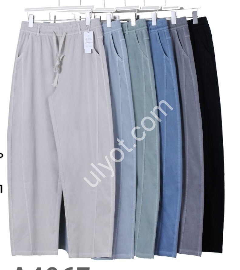 ШТАНЫ (3XL-6XL) ПРЯМОЙ МИКС 4067