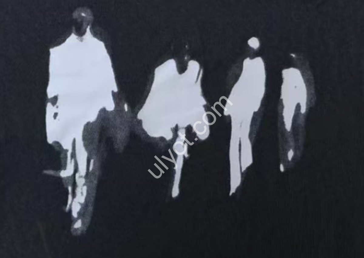 Фото 2 ЛОНГСЛИВ (M-2XL) МИКС 8850