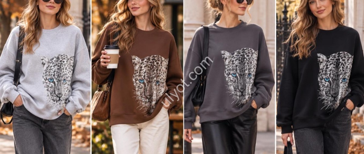СВИТШОТ JJF (OVERSIZE 48-52) КАМНИ МИКС 2605