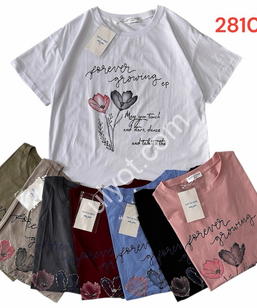 ФУТБОЛКА (ONESIZE 50-54) МИКС 2810