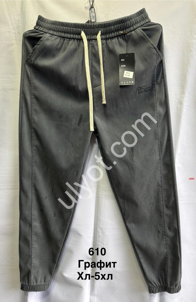 ШТАНИ (XL-4XL) СІРИЙ 610