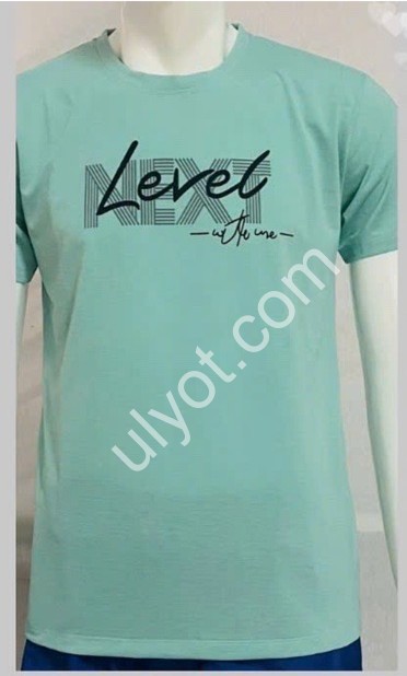 ФУТБОЛКА (2XL-5XL) МІКС A613